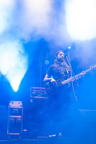 The Giving Tree Band