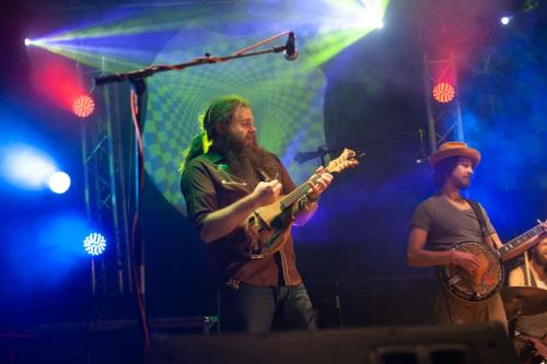 The Giving Tree Band