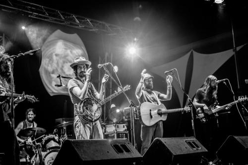 The Giving Tree Band