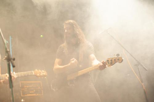 The Giving Tree Band