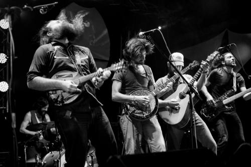 The Giving Tree Band